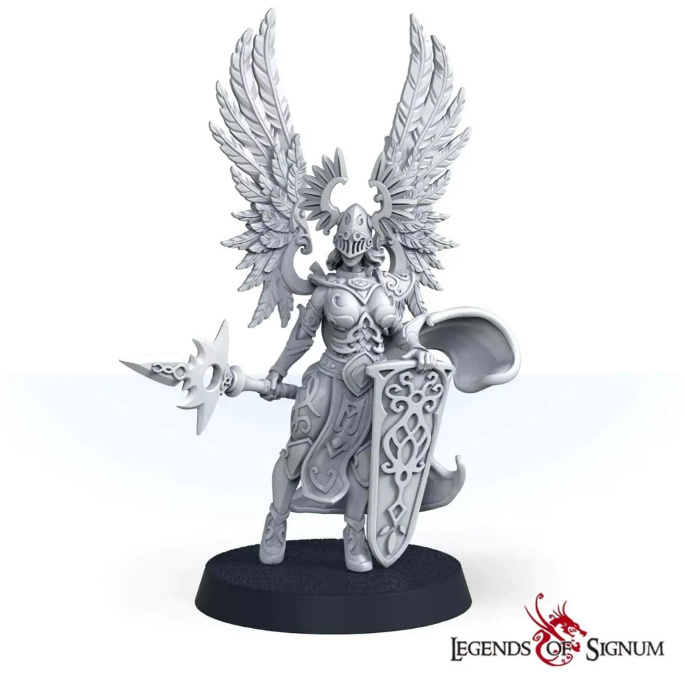 Valkyrie set - Image 3