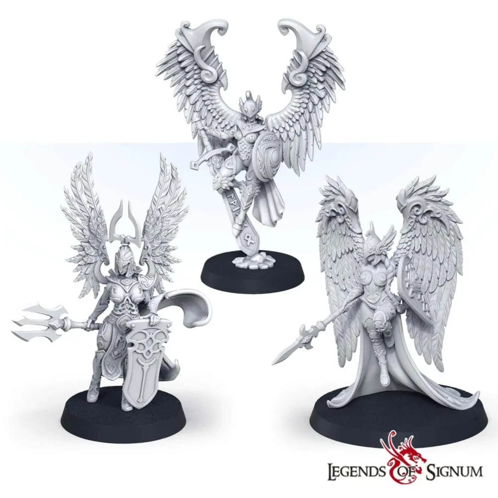 Valkyrie set - Image 1